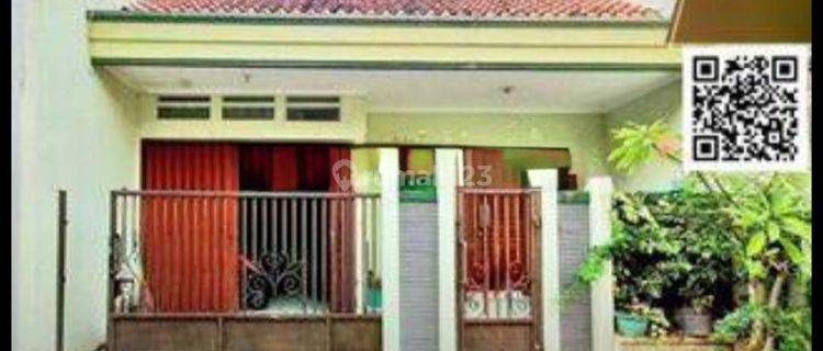 Rumah kos tengah kota Semarang pusat kota dekat perkantoran sekolah dekat simpang lima siap pakai dijual di Batan miroto Semarang tengah 1