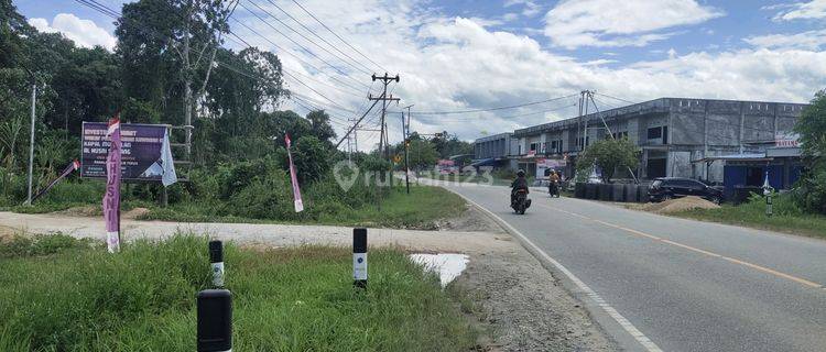 Tanah Murah Komersial Tebelian Sintang Kalimantan Barat 1