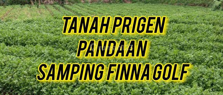 Tanah Shm Murah Prigen Pandaan Samping Finna Golf, Pandaan 1