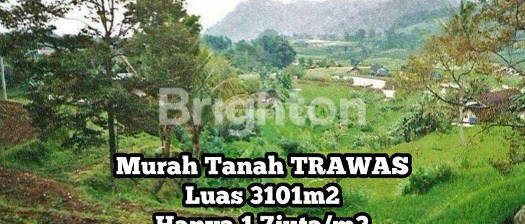 Tanah Luas 3101 M2 Di Dekat Raya Trawas Mojokerto Jawa Timur 1