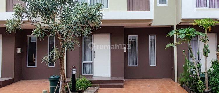 Best Price. Rumah bagus Malibu Village, Gading Serpong 1