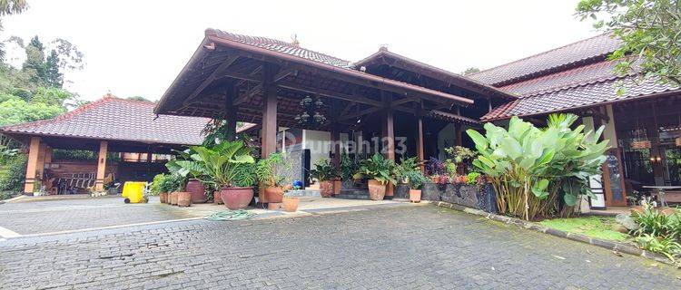 Jarang Ada. Villa mewah Puncak Ciawi Bogor, full kayu jati..  1