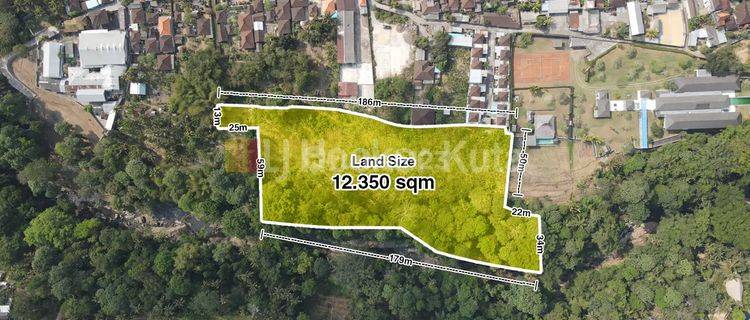 Land on Jalan Tanah Lot, Pandak, Tabanan is suitable for development 1