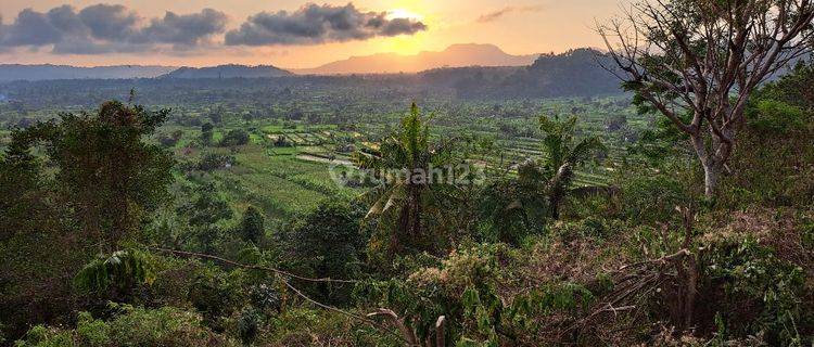 Tanah Murah Karangasem Dekat Tirta Gangga View Sunset Dan Sawah 1