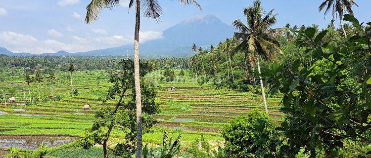 Land for rent with rice field views in Ababi, Karangasem near Tirta Gangga  1