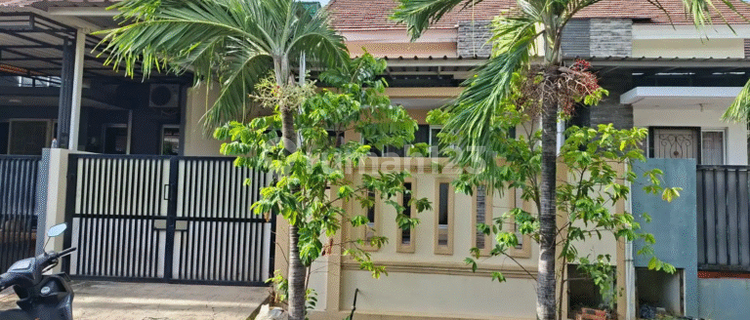 Disewa Rumah Siap Huni Full Renovasi - Harapan Indah 2 Ifolia 1