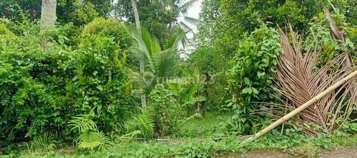 Tanah Kavling Jembrana Bali Termurah View Laut 1