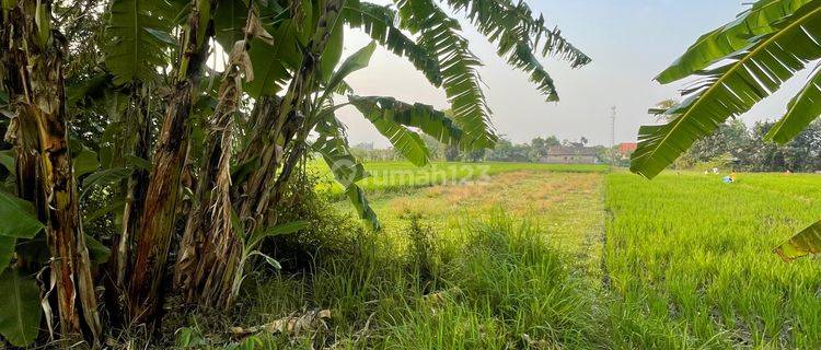 Tanah Perkarangan Murah Desa Sumokembangsri Kec. Balongbendo Krian Sidoarjo 1