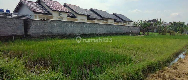 Tanah Pekarangan Cocok Untuk Rumah Kost, Depok, Sleman 1
