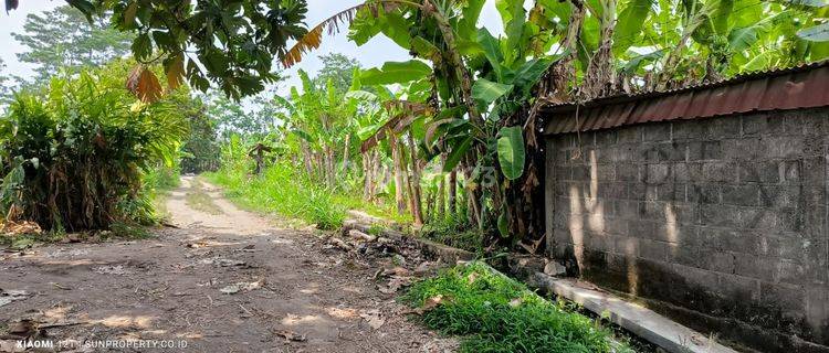 Disewakan Tanah Pekarangan Cocok Untuk Gudang Ngemplak, Sleman 1