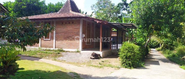 Dijual Rumah Siap Huni Di Margoagung, Seyegan, Sleman, Jogja  1