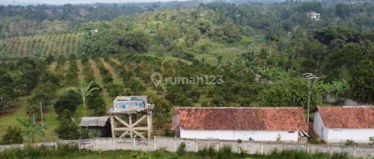 Dijual cepat tanah perkebunan alpukat di Parung kuda Sukabumi  1