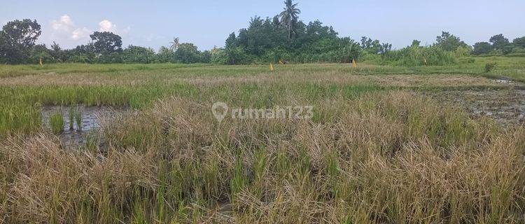 Plots Land Invesment at Belong Beach Kedungu 1