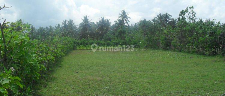 Land Freehold 2000 Sqm  beach Front Negara Bali 1