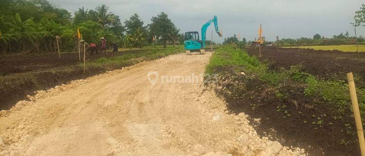 Land  Just Walk To The Beach Belong   Tabanan Bali 1