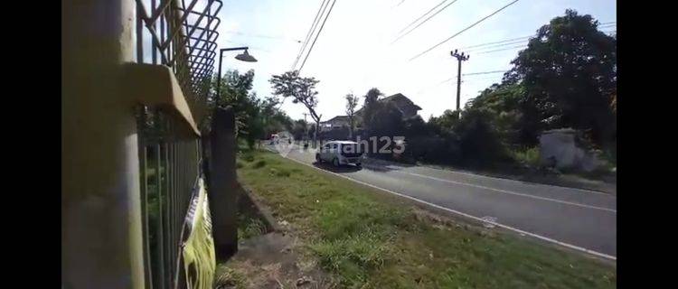 Land Freehold Main Road Gerokgak  Buleleng Bali 1