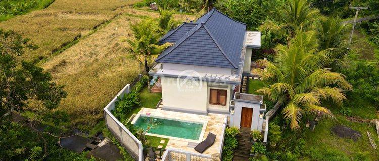 Available Modern Villa For Freehold Leasehold In Ubud Area 1