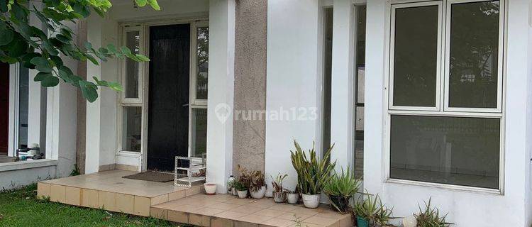 kan Rumah Suvarna Sutera 8X20 Cluster Fedora. Termurah 1