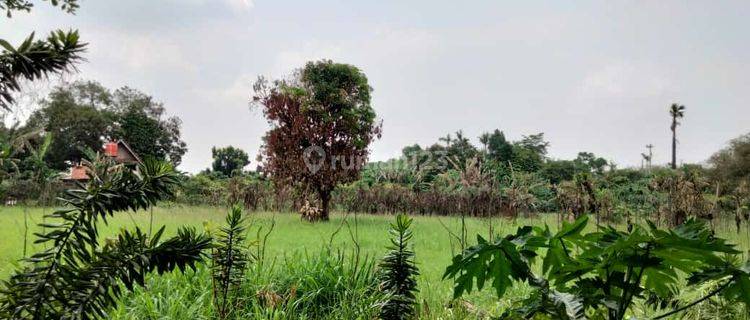 Tanah Strategis Depan Sekolah Candle Tree Jelupang Serpong Bsd 1