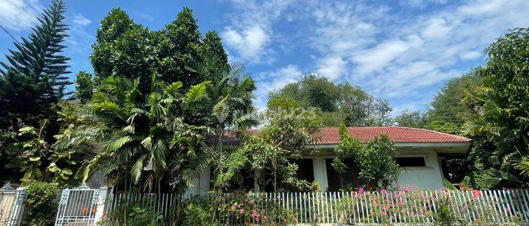 Rumah Tua Hook Hitung Tanah Saja Area Tanah Kusir Jakarta Selatan 1