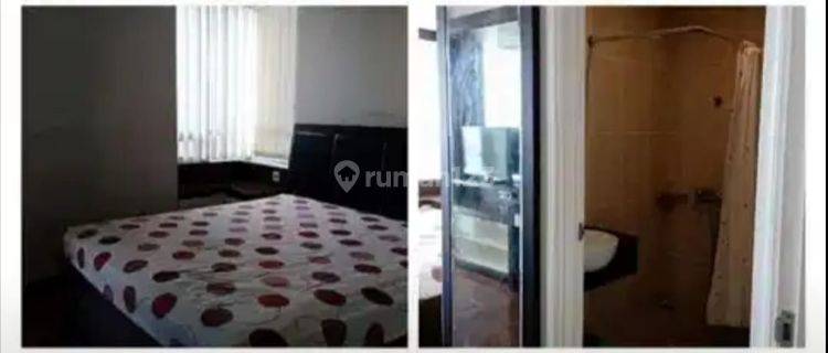 Apartement Trilium 1 BR Furnished Bagus View City  1