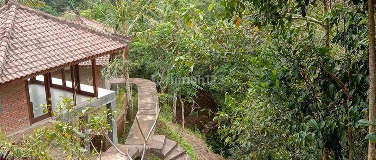 Freehold - Stunning Ubud Property with Breathtaking Valley Views - Ready for Your Personal Touch 1