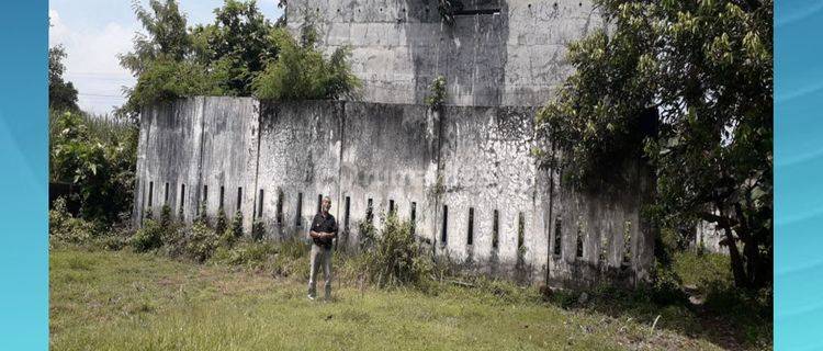 Rumah Sarang Burung Walet Sudah Berizin Di Kediri Mh 25 1