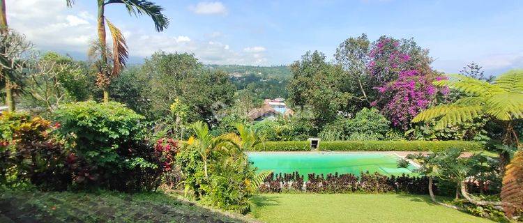 Villa View Gunung Di Megamendung Puncak Bogor 1