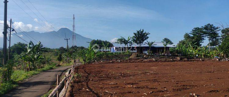 Tanah Murah di Ciomas Kabupaten Bogor View Gunung Salak 1