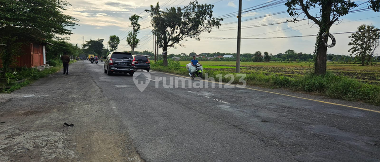Lahan Industri Jombang, Lokasi Strategis Bisa Kontainer, Akses Jalan Aspal dan Lebar 1