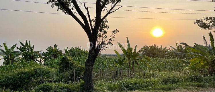 Tanah industri murah dan strategis akses container 1