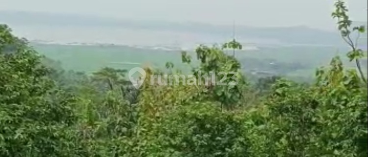 Mountain Land with SHM at Jalan Raya Banyubiru, 40,300 m², Very Suitable for Tourism. 1