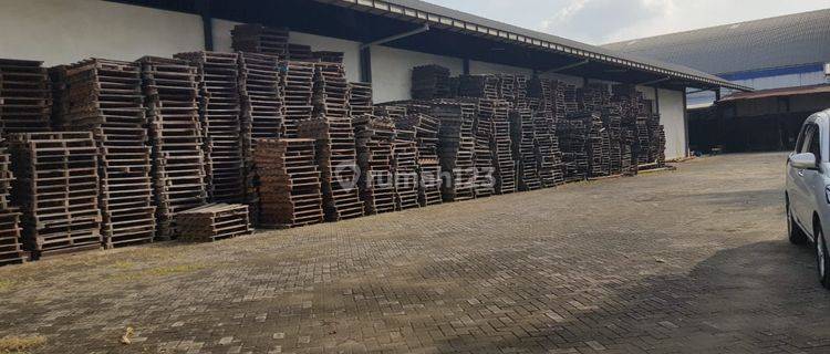 Gudang siap pakai sudah Renovasi HGB di Kawasan industri candi  1