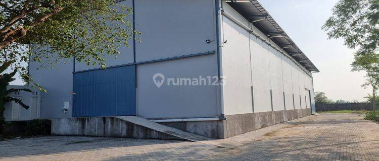 Gudang Baru HGB ada loading dock siap pakai di Randugarut 1