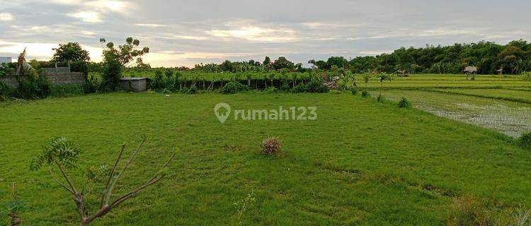 Land for sale Jl. Singaraja Gilimanuk, Kalianget, Seririt, District. Buleleng Bali 81152 1