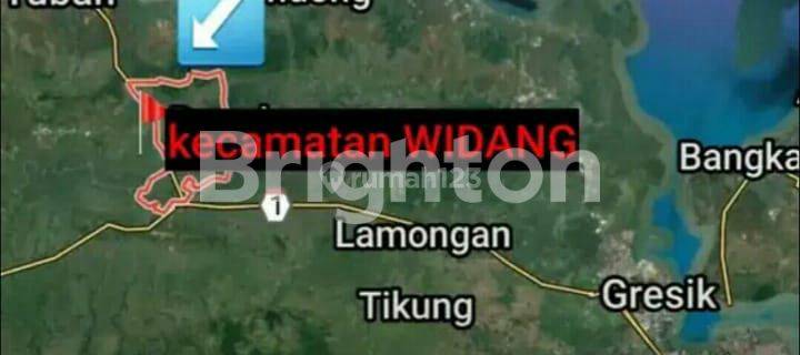 BUTUH CEPAT LAKU, PENAWARAN BERAPAPUN DIPERTIMBANGKAN...TANAH INDUSTRI ANTARA BABAT TUBAN (masuk Zona Industri III tuban), NOL JALAN UTAMA 1