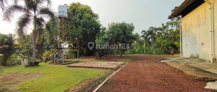 DiJual Tanah Bonus Bangunan di Panongan Banten Tangerang 8000 m² 1