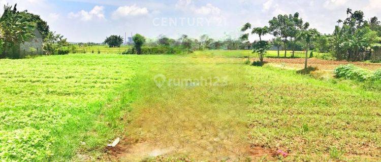 Tanah Luas Pinggir Jalan Dekat Pasar Di Babelan S8296 1