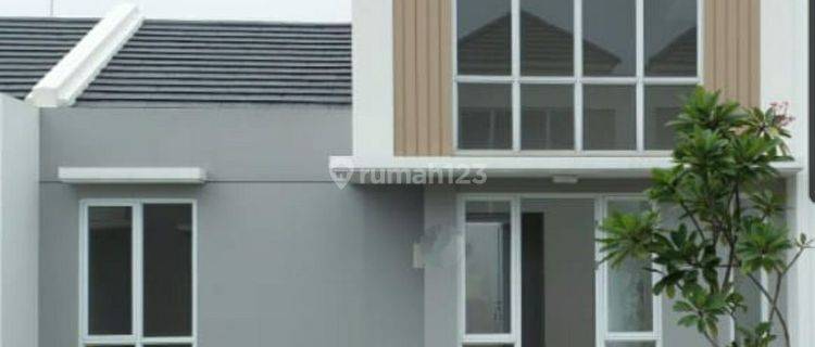 Rumah Bagus Cluster Canna Paramount Petal Tangerang 1