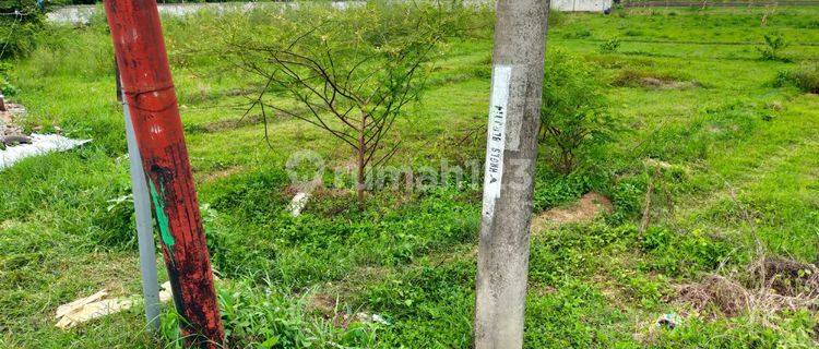Kavling Murah Siap Bangun dan Cocok Untuk Perumahan @Indramyu 1