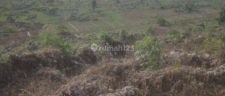 Kavling Murah Siap Bangun dan Cocok Untuk Perumahan @Rembang Jawa Tengah 1