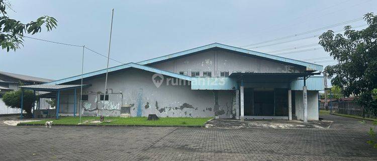Pabrik Seafood Pantura Dengan Cold Storage Pembeku Siap Pakai 1