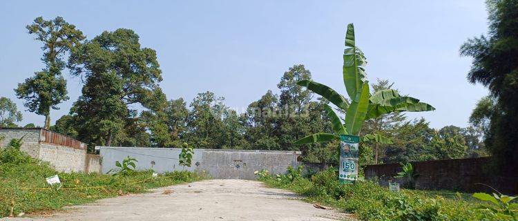 TANAH MURAH DEKAT UNWAHAS DAN RSUD CEPOKO GUNUNG PATI 1