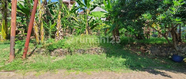 Flood-Free Land Ready to Build Semeru Asri and Safe Cluster Housing in Semarang Atas 1