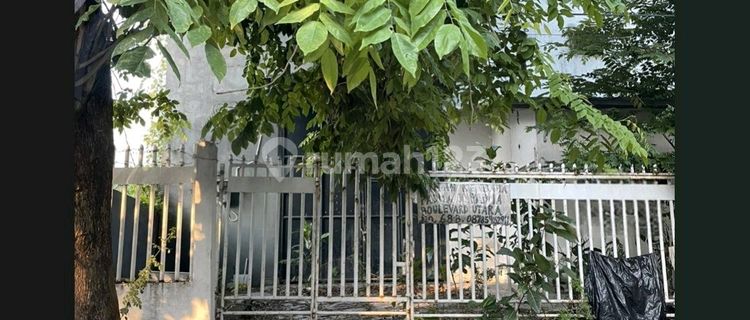 Central City Warehouse Rental in Atmodirono, Semarang. 1