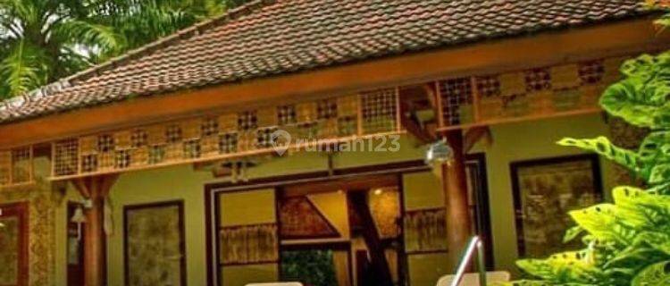 Dijual Murah Rumah Atau Villa Di Denpasar Bali 1