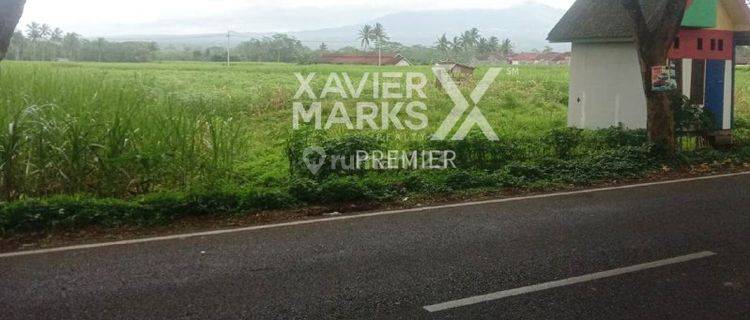 Tanah Lahan Siap Bangun di Jalan Poros Jalibar Kepanjen Malang  1