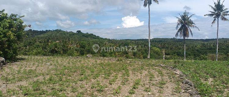 Land For Lease Only 300 Meters From Diamond Beach 1