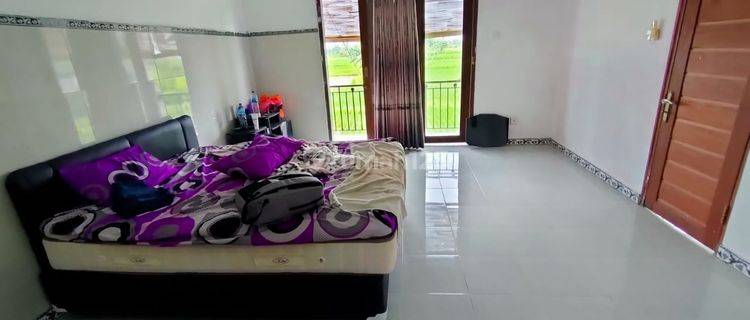 Simpel house with rice view for rent 1