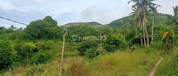 Land For Lease Nusa Penida  1